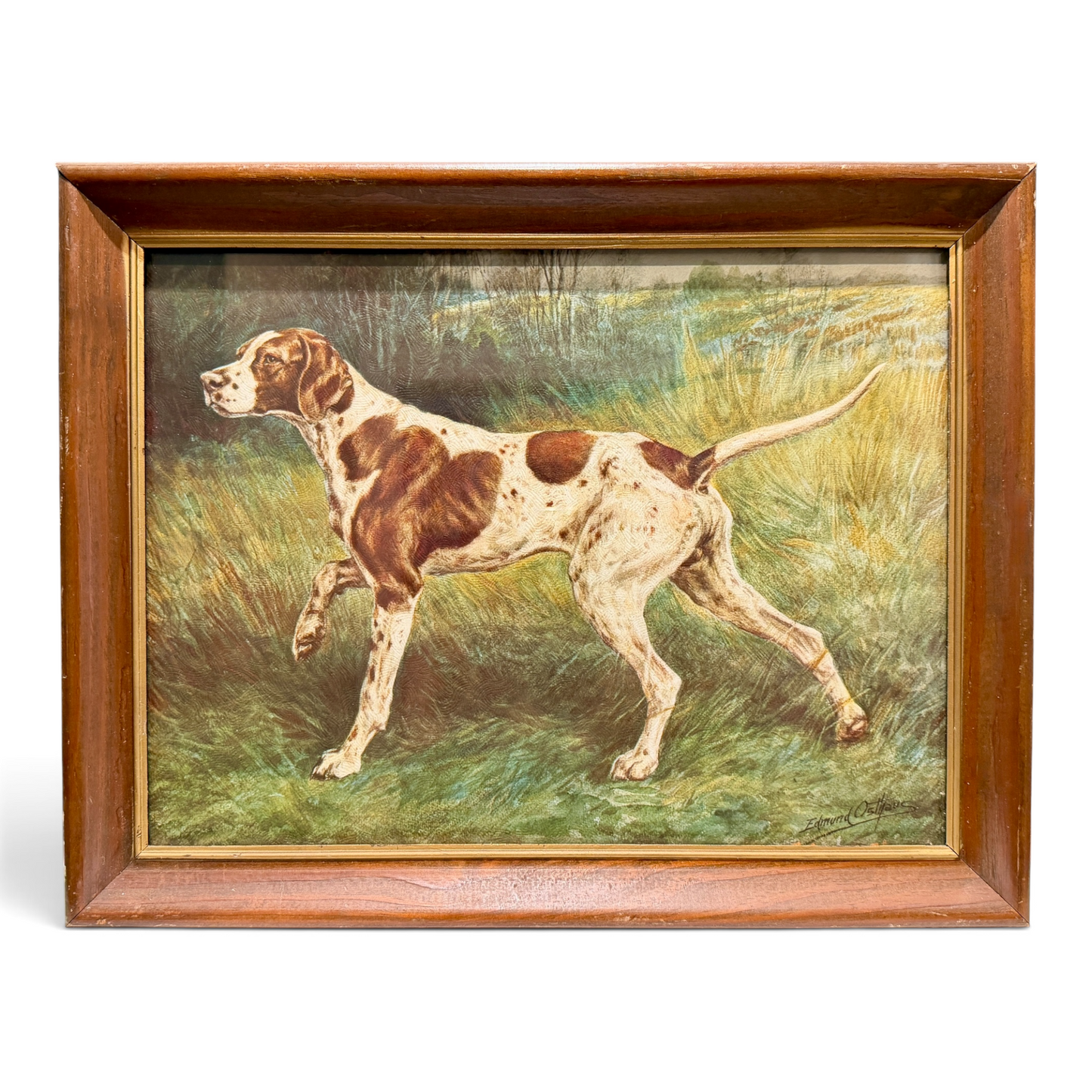 Vintage Textured Edmund Osthaus Pointer Sporting Dog Print in Wood Frame