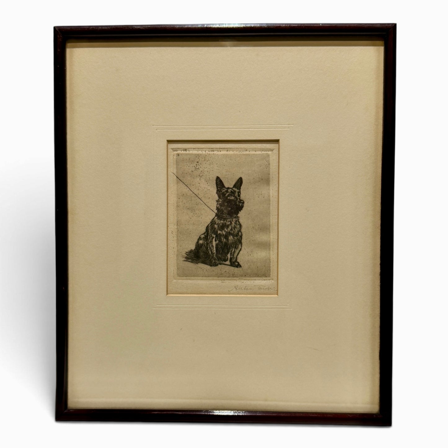 Antique Anton Forster Signed Original Etching “Schottischer Terrier” | Scottish Terrier | c. 1910–1921