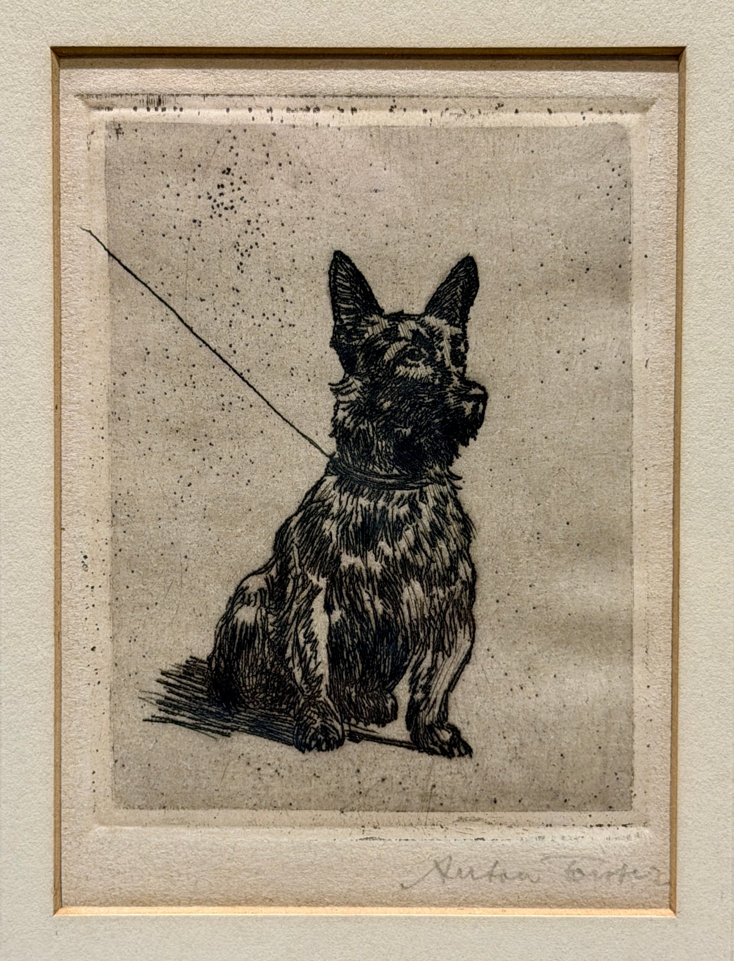 Antique Anton Forster Signed Original Etching “Schottischer Terrier” | Scottish Terrier | c. 1910–1921