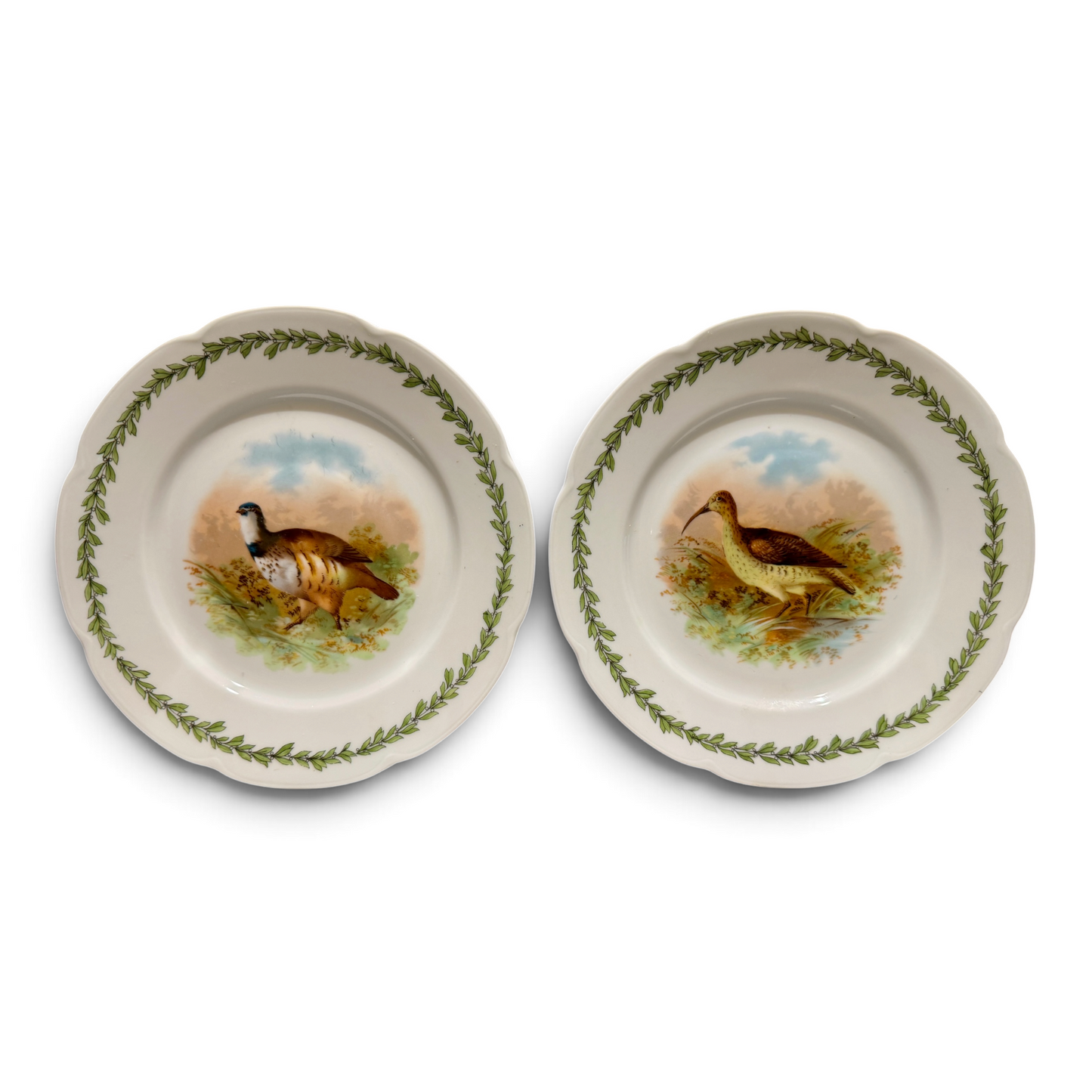 Antique Austrian Game Bird Porcelain Plates, Pair