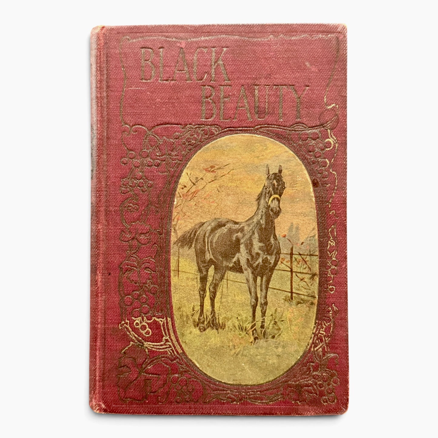Antique Black Beauty by Anna Sewell | H.M. Caldwell Equestrian Horse Book, Early 1900s