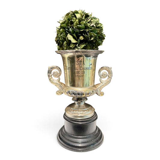 Vintage 1961 USTA National Champion Tennis Trophy