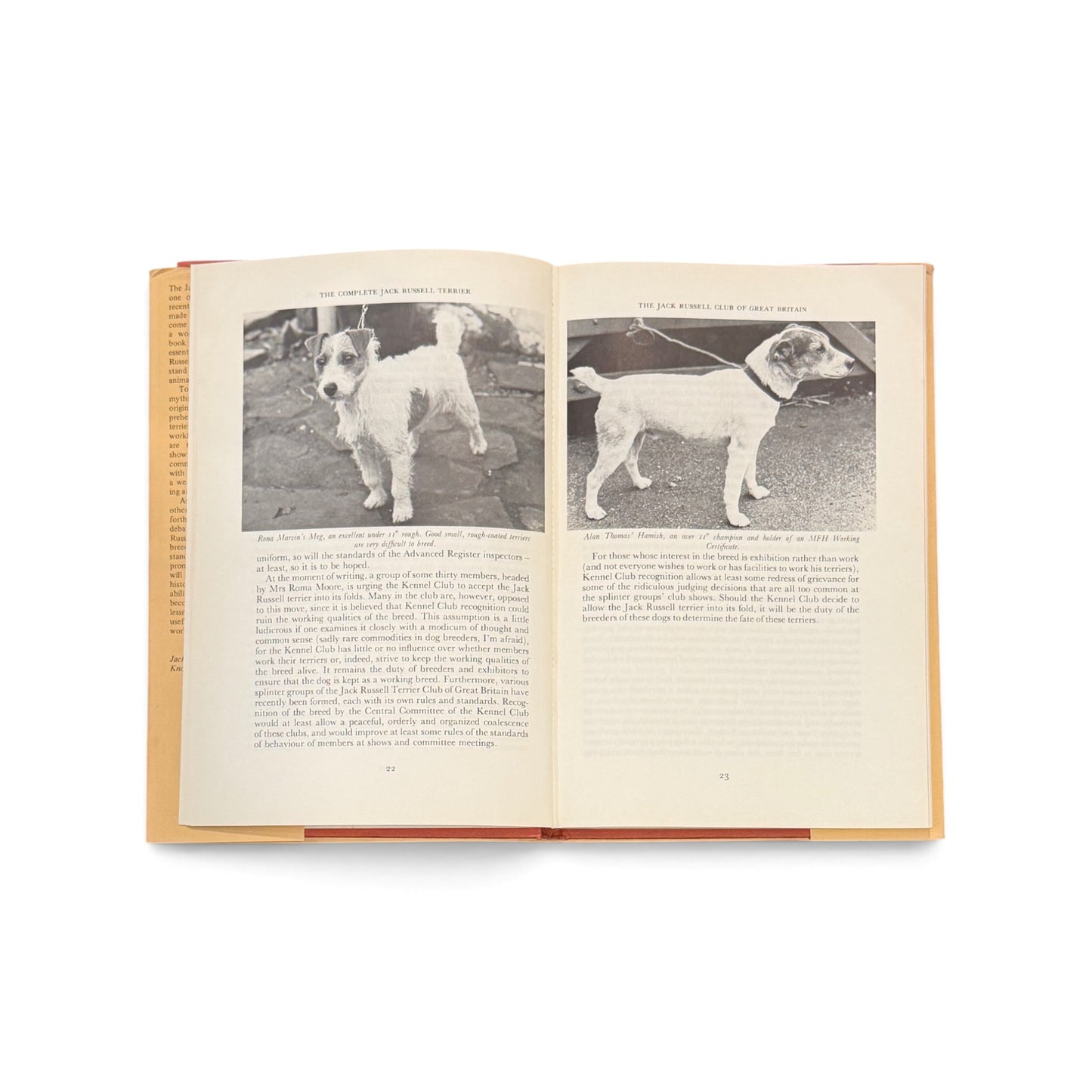 Vintage 1980 The Complete Jack Russell Terrier Book by D. Brian Plummer