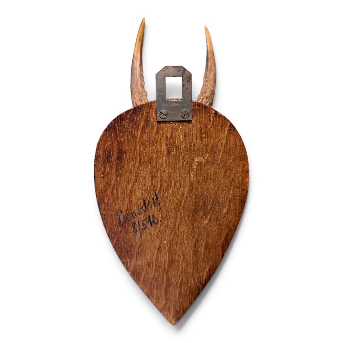 Antique European Roe Deer Antler Trophy Mount on Hand Carved Oak Plaque
