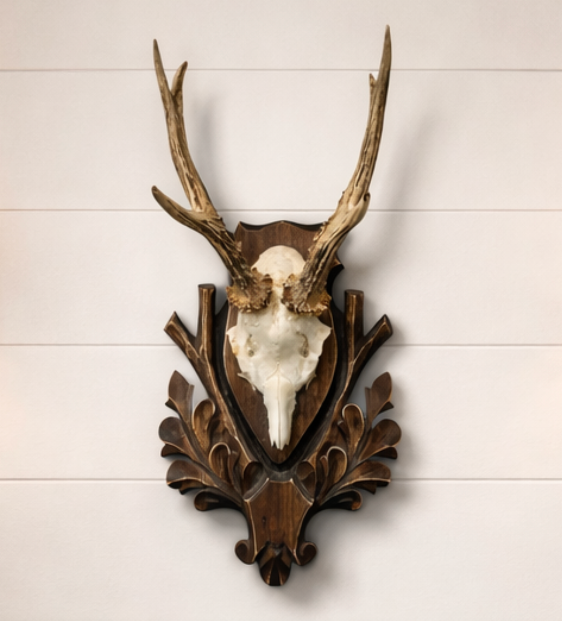Decorative wall mount with deer antlers on a wooden background