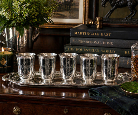 Set of silver tumblers on a tray with decorative items in the background
