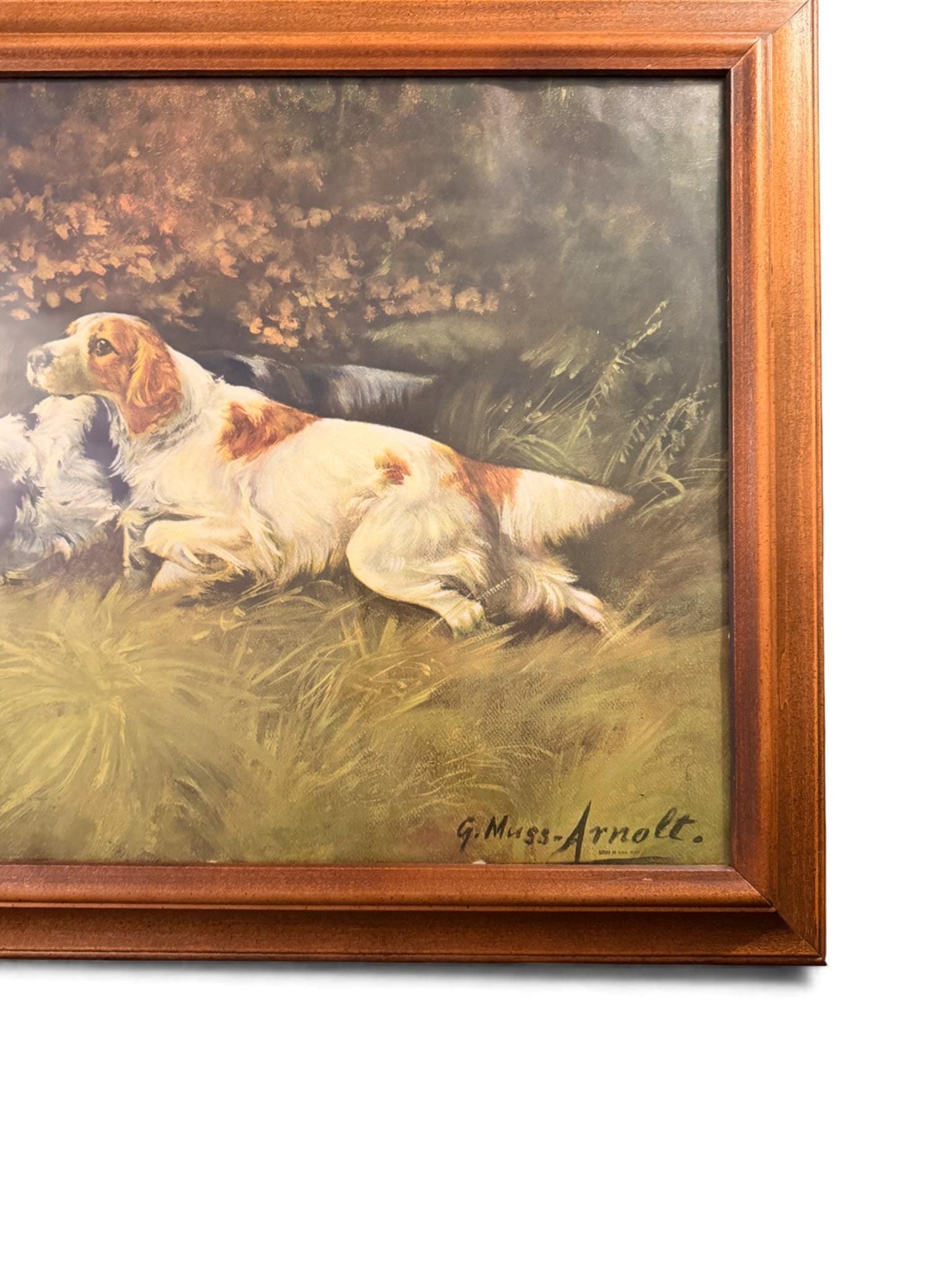 Vintage Framed & Signed Lithograph by Gustav Muss-Arnolt of Two Hunting Dogs in a Meadow