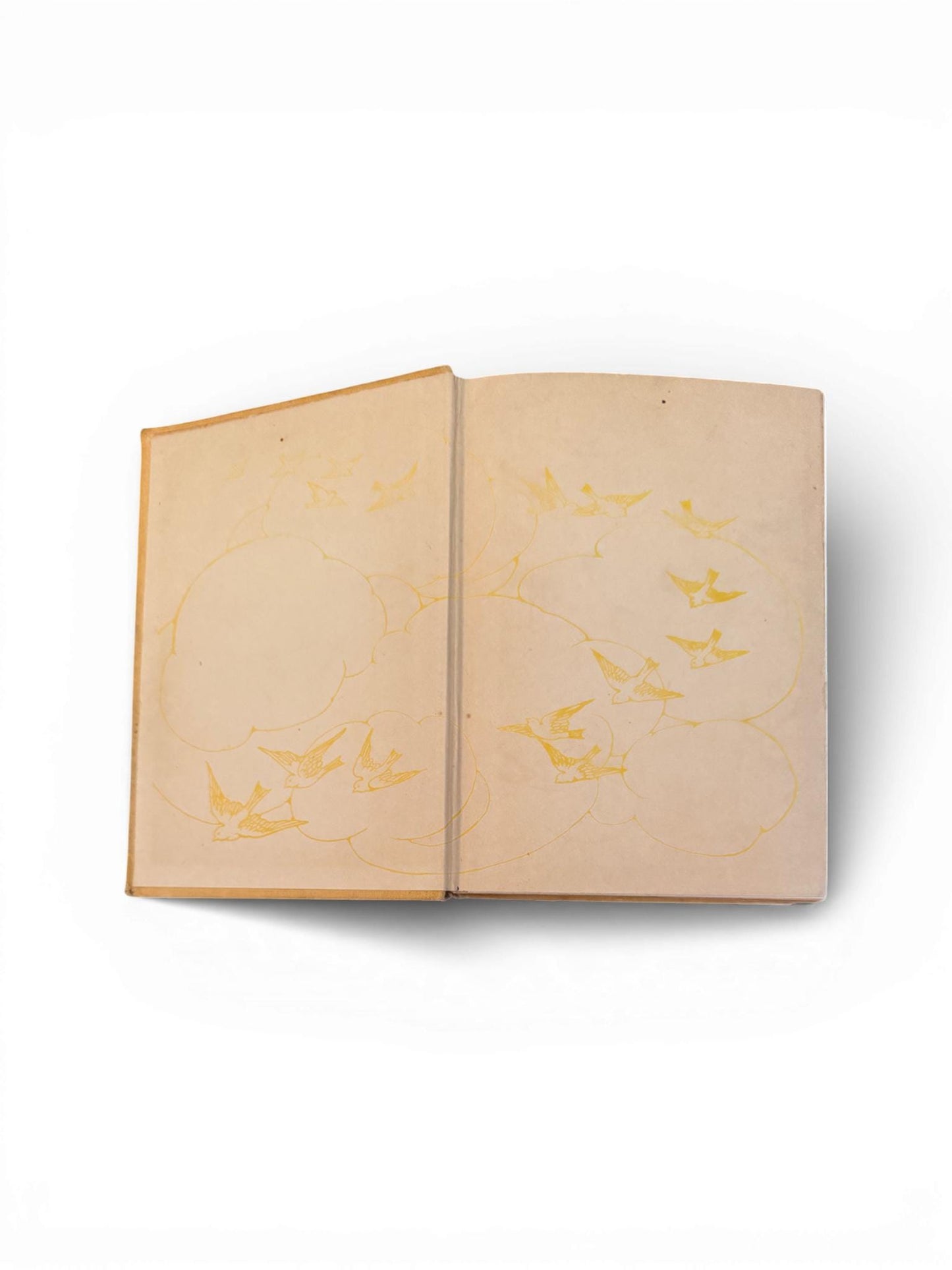 1st Edition c.1900s Hardcover Copy of Black Beauty Book by Anna Sewell