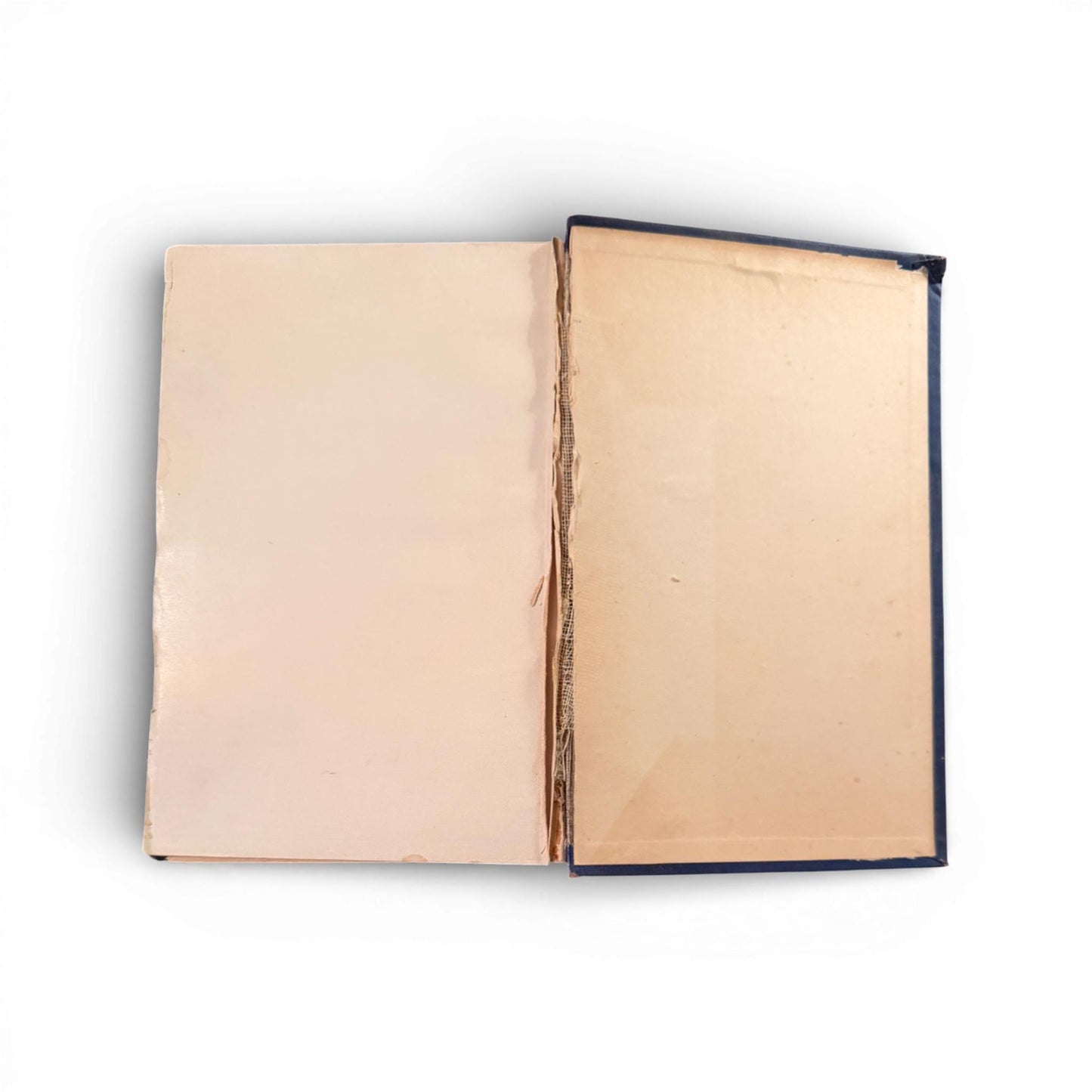 c.1890 First Edition Black Beauty by Anna Sewell - Illustrated - Published by D. Lothrop Company