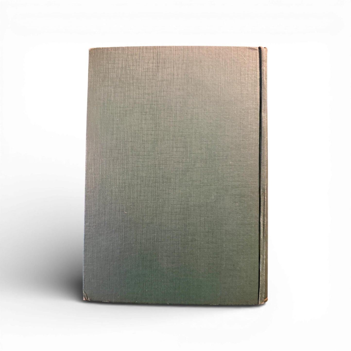 Black Beauty — c. 1927 Illustrated Hardcover Edition by Anna Sewell (John C. Winston Co.)