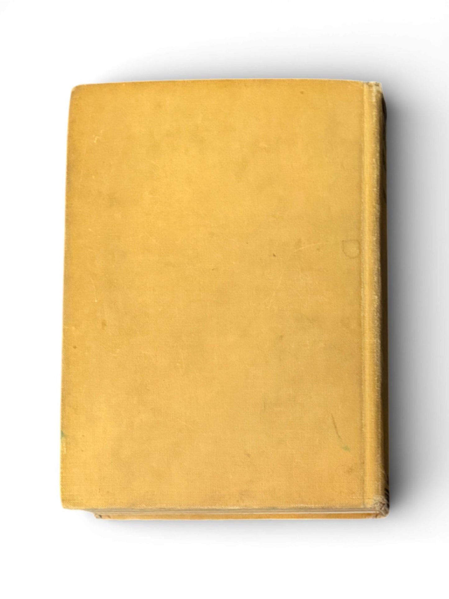 1st Edition c.1900s Hardcover Copy of Black Beauty Book by Anna Sewell